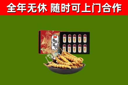 东坑镇烟酒回收冬虫夏草礼盒.jpg