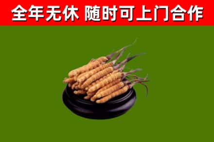 东坑镇烟酒回收冬虫夏草.jpg