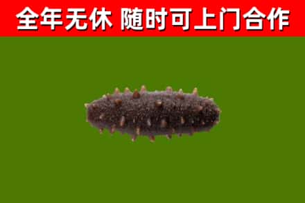 东坑镇烟酒回收干海参.jpg